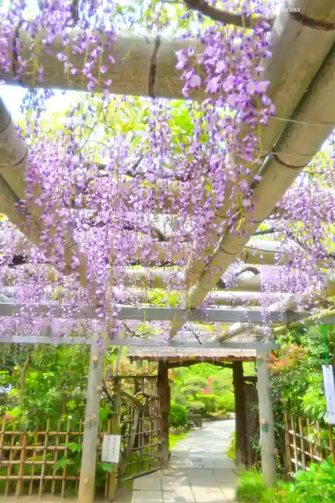 越ヶ谷久伊豆神社(埼玉県)