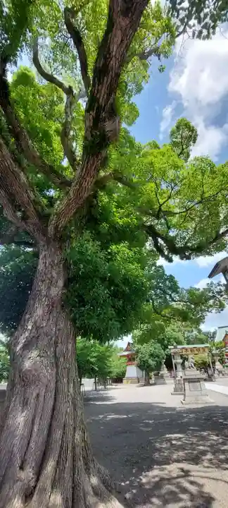 成田山大阪別院 明王院(大阪府)