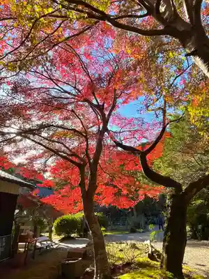 長徳寺(三重県)