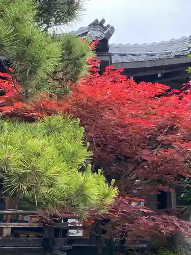 松尾大社の庭園