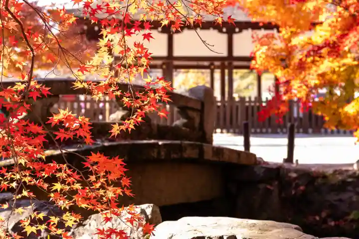 賀茂別雷神社(上賀茂神社)(京都府)