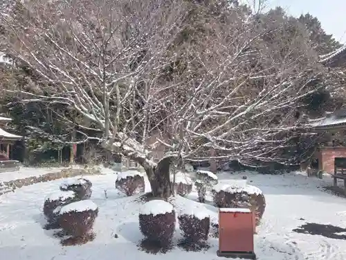 朝光寺(兵庫県)