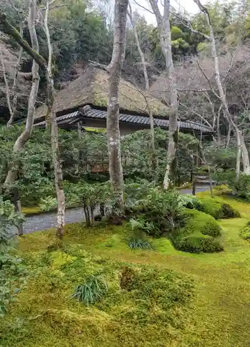 祇王寺(京都府)