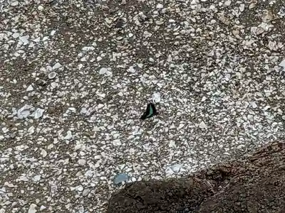 八百富神社(愛知県)