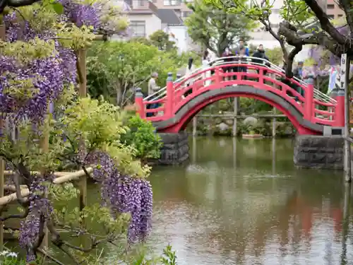 亀戸天神社(東京都)