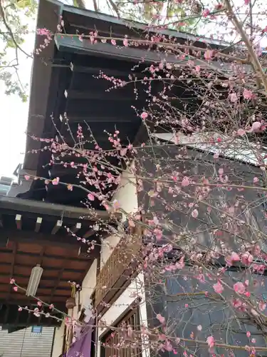 猿田彦神社の自然