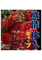 耕田院(山形県)