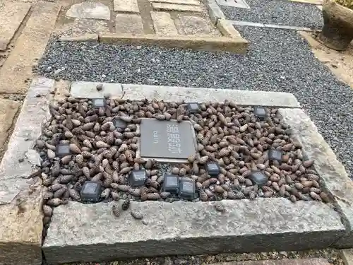 高砂神社の周辺