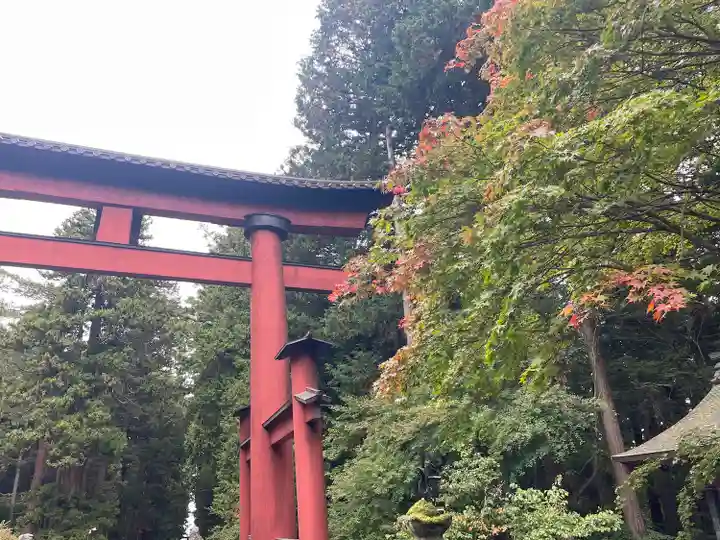 北口本宮冨士浅間神社(山梨県)
