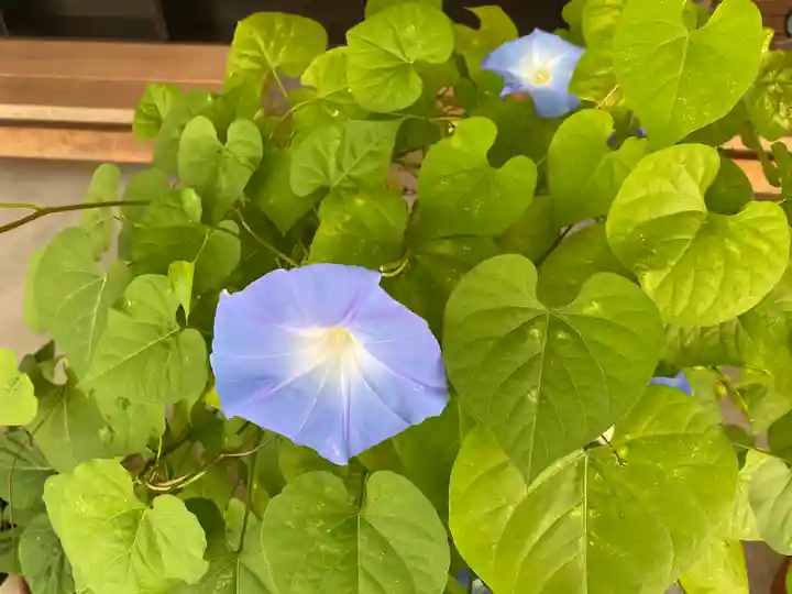 飛驒天満宮(岐阜県)