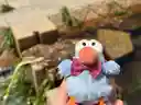 鳥類さんのプロフィール画像