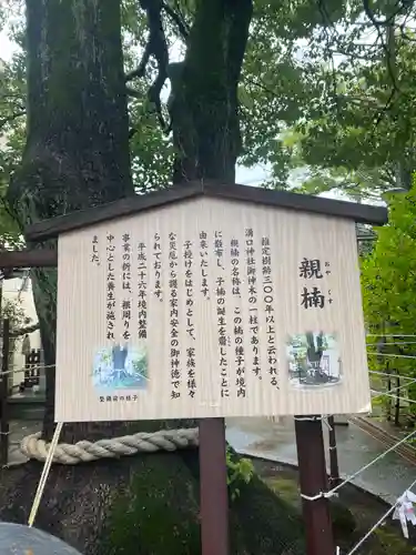 溝口神社(神奈川県)