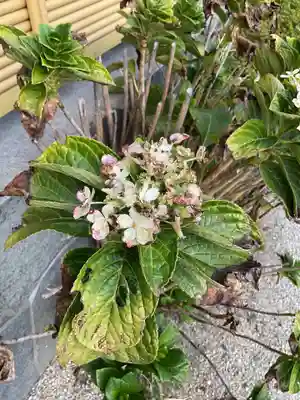 専修院(愛知県)