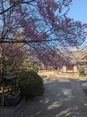 天王寺(東京都)
