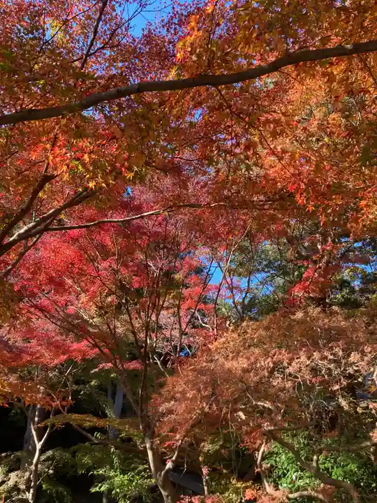 覚園寺(神奈川県)