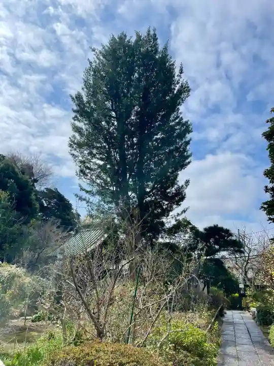 妙法寺の{uncategorized: "未分類", other: "その他", undefined: "問題あり", building: "その他建物", grave: "お墓", sacred_gate: "鳥居", guardian: "狛犬", statue: "像", buddha: "仏像", history: "歴史", nature: "自然", garden: "庭園", animal: "動物", pagoda: "塔", temizu: "手水舎", mountain_gate: "山門・神門", sanctuary: "本殿・本堂", subordinate: "末社・摂社", art: "芸術", scenery: "景色", jizo: "地蔵", ema: "絵馬", goshuin: "御朱印", omikuji: "おみくじ", items: "授与品その他", amulet: "お守り", goshuincho: "御朱印帳", eats: "食事", festival: "お祭り", votive_dance: "神楽", shichigosan: "七五三参", wedding: "結婚式", experience: "体験その他", initially: "初詣", around: "周辺", anti_infection: "感染症対策"}