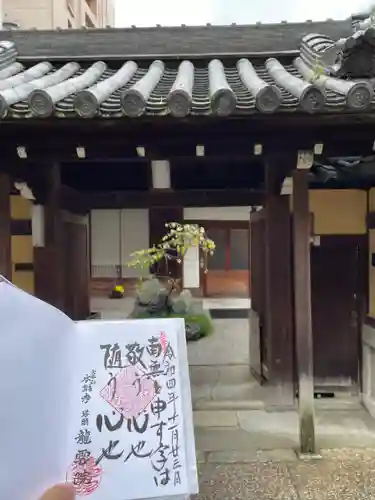 龍雲院の御朱印