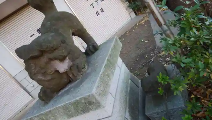 目白天祖神社の狛犬