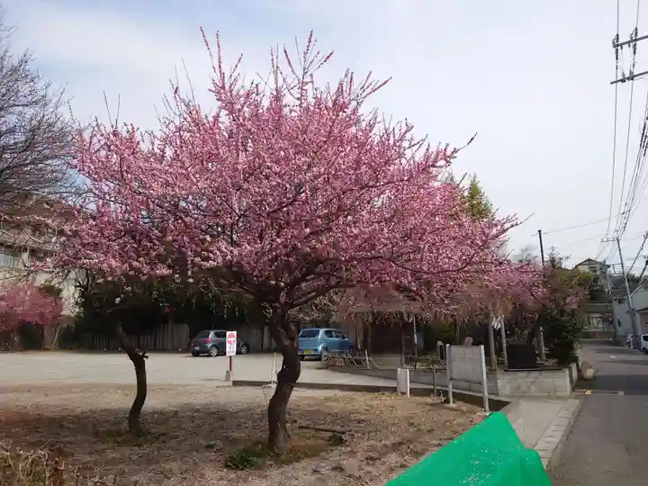 栗原天神社の自然