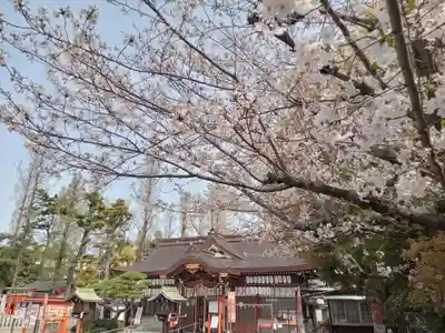 阿部野神社(大阪府)