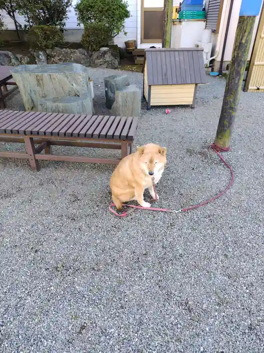 妙福寺(神奈川県)