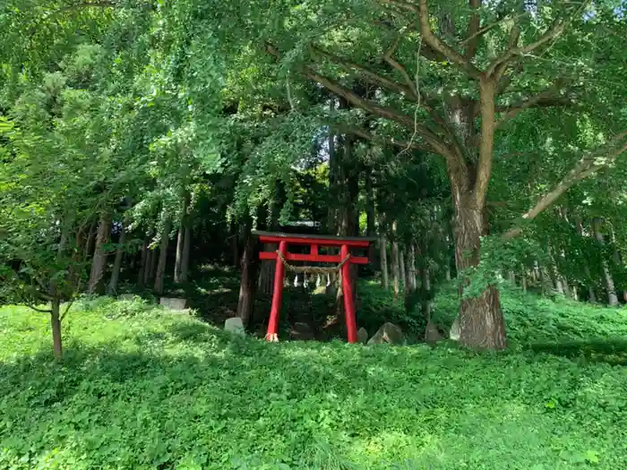 鹿島神社の鳥居