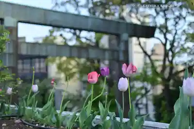 伊勢山皇大神宮(神奈川県)