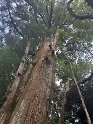 伊勢神宮外宮（豊受大神宮）(三重県)