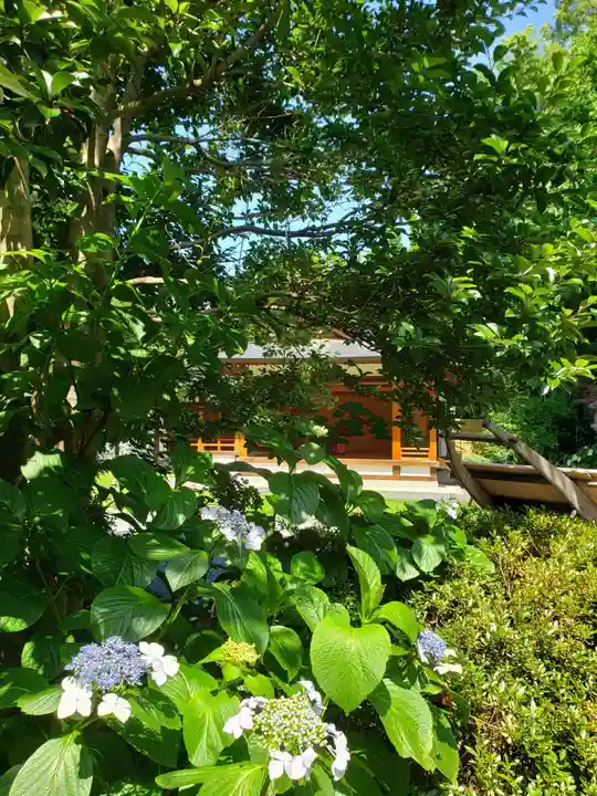 阿佐ヶ谷神明宮(東京都)