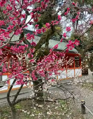 北野天満宮(京都府)