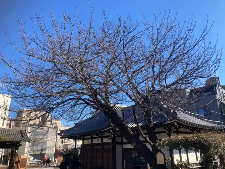 感通寺(東京都)