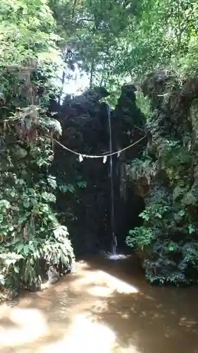 目の霊山　油山寺の自然