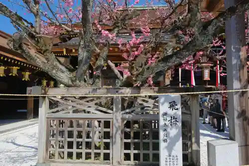 北野天満宮の庭園