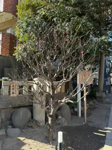 小野照崎神社の{uncategorized: "未分類", other: "その他", undefined: "問題あり", building: "その他建物", grave: "お墓", sacred_gate: "鳥居", guardian: "狛犬", statue: "像", buddha: "仏像", history: "歴史", nature: "自然", garden: "庭園", animal: "動物", pagoda: "塔", temizu: "手水舎", mountain_gate: "山門・神門", sanctuary: "本殿・本堂", subordinate: "末社・摂社", art: "芸術", scenery: "景色", jizo: "地蔵", ema: "絵馬", goshuin: "御朱印", omikuji: "おみくじ", items: "授与品その他", amulet: "お守り", goshuincho: "御朱印帳", eats: "食事", festival: "お祭り", votive_dance: "神楽", shichigosan: "七五三参", wedding: "結婚式", experience: "体験その他", initially: "初詣", around: "周辺", anti_infection: "感染症対策"}
