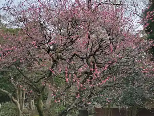 伊勢神社の自然