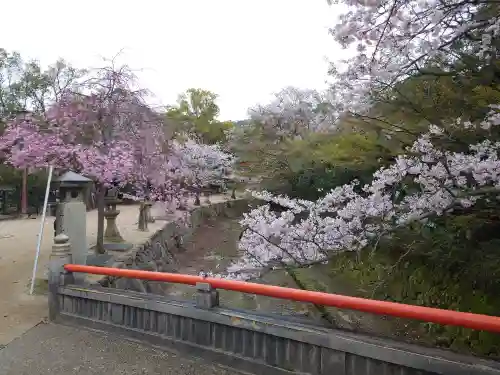 厳島神社(広島県)