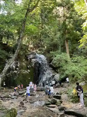 寿老滝石仏堂の自然
