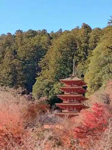 長谷寺(奈良県)