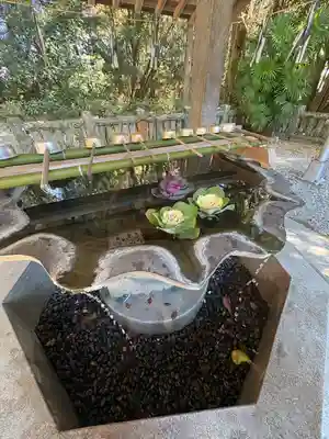 若宮八幡宮(高知県)