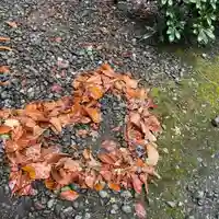 彌彦神社 (伊夜日子神社)の庭園