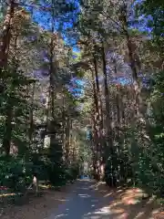 八幡神社(茨城県)