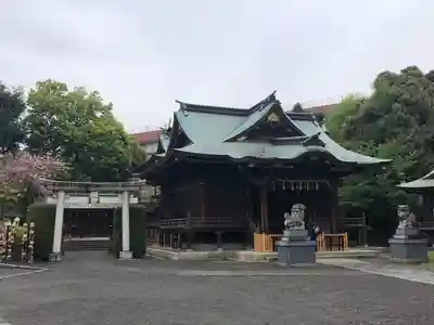 赤羽八幡神社の本殿・本堂