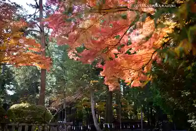 北口本宮冨士浅間神社(山梨県)