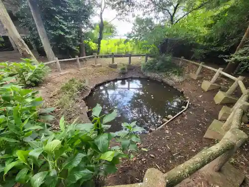 赤井八幡神社(宮城県)