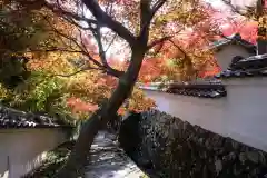 勝持寺（花の寺）(京都府)