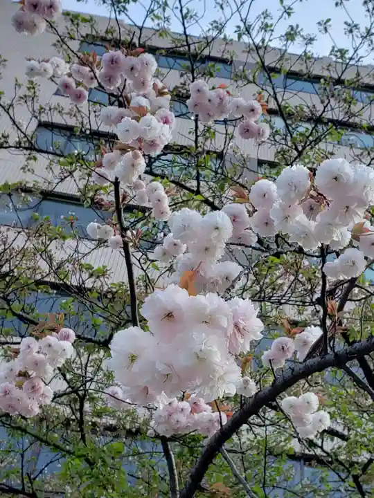 花園神社の自然