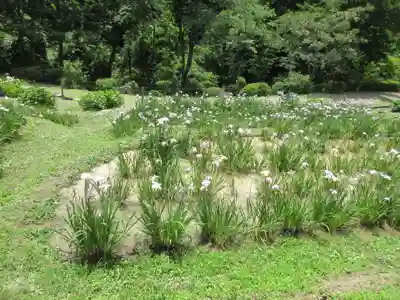 両神神社(埼玉県)