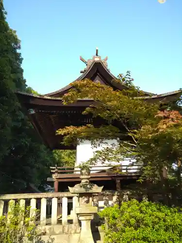 阿智神社の本殿