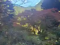 蓬莱神社の自然