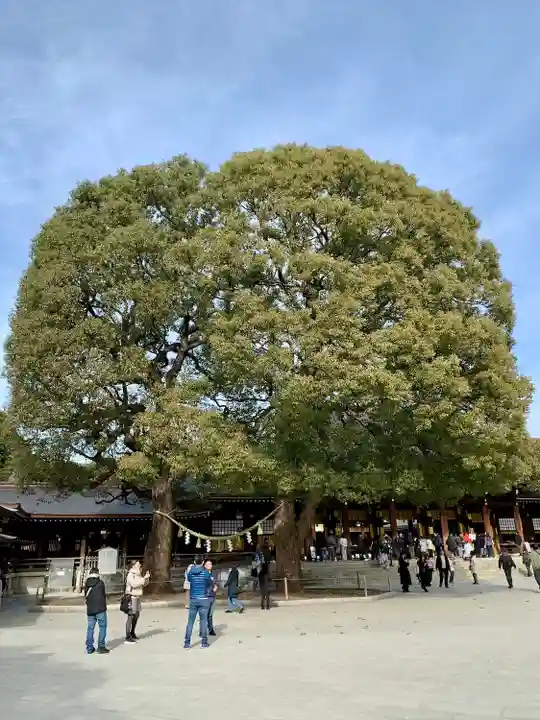 明治神宮(東京都)